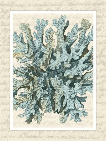 Trademark Global Fab Funky Blue Corals on Vintage Script in 4 Panels Canvas  Art