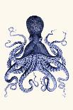 Giant Octopus Blue Triptych a-Fab Funky-Art Print
