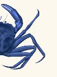 Contrasting Crab in Navy Blue a-Fab Funky-Art Print