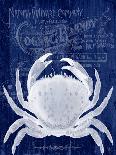 Octopus Navy Blue and Cream b-Fab Funky-Art Print