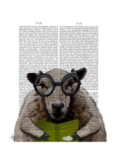 Art Print, , large
