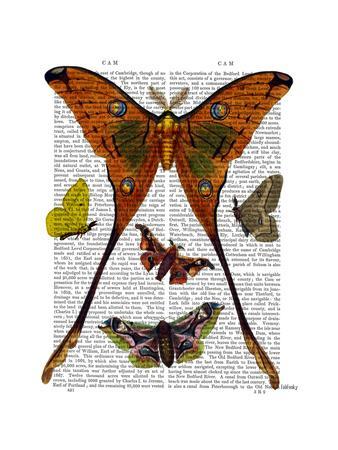 Antique Moth Print Wall Art   MUSEUM OUTLETS