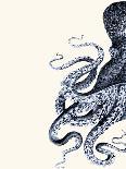 Giant Octopus Blue Triptych b-Fab Funky-Art Print