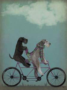 Schnauzer Tandem by Fab Funky