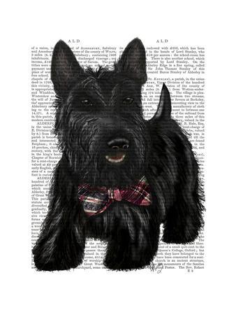 scottie art
