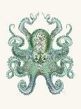 Turquoise Octopus and Squid b-Fab Funky-Art Print