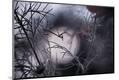 Premium Photographic Print