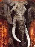Elephant-Fabienne Arietti-Mounted Art Print