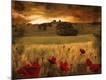 Premium Photographic Print