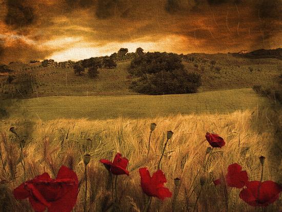 Photographic Print, , large