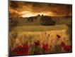 Photographic Print