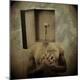 Premium Photographic Print