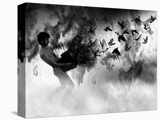 Stretched Canvas Print, , large
