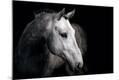 Premium Photographic Print