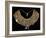 Fabric Breastplate with Gold and Silver Trimmings-null-Framed Giclee Print