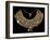 Fabric Breastplate with Gold and Silver Trimmings-null-Framed Giclee Print