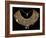 Fabric Breastplate with Gold and Silver Trimmings-null-Framed Giclee Print