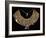 Fabric Breastplate with Gold and Silver Trimmings-null-Framed Giclee Print