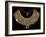 Fabric Breastplate with Gold and Silver Trimmings-null-Framed Giclee Print