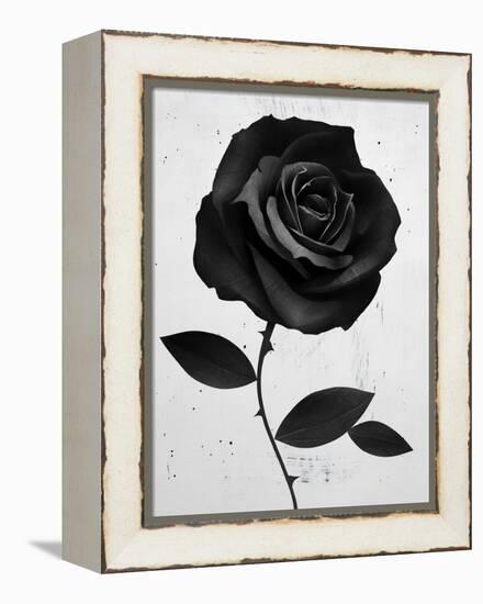 Fabric Rose-Ruben Ireland-Framed Stretched Canvas