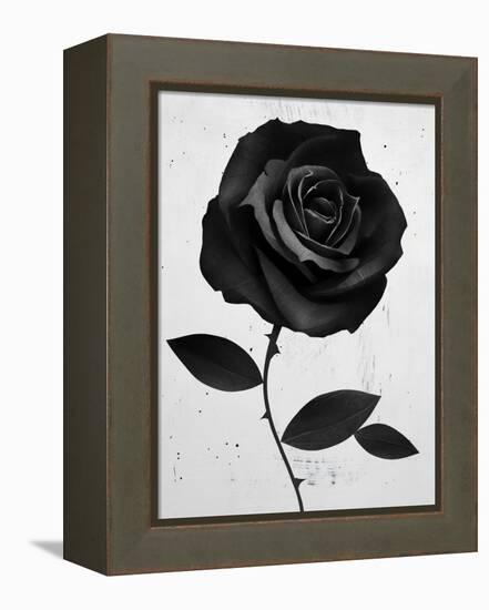 Fabric Rose-Ruben Ireland-Framed Stretched Canvas