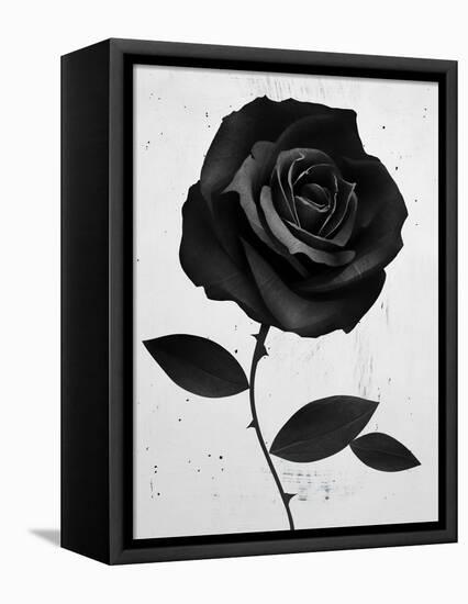 Fabric Rose-Ruben Ireland-Framed Stretched Canvas