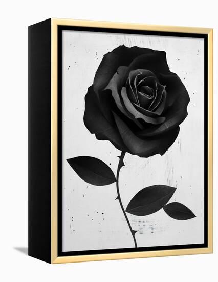 Fabric Rose-Ruben Ireland-Framed Stretched Canvas