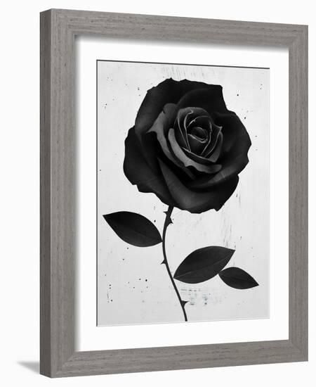 Fabric Rose-Ruben Ireland-Framed Art Print