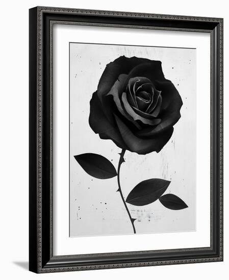Fabric Rose-Ruben Ireland-Framed Art Print