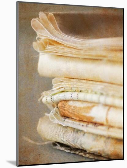 Fabric Stash-Jessica Rogers-Mounted Giclee Print