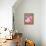 Fabulous Flamingos II-Carolee Vitaletti-Framed Stretched Canvas displayed on a wall