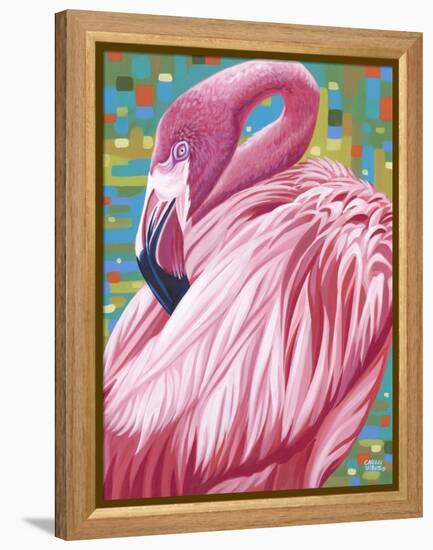 Fabulous Flamingos II-Carolee Vitaletti-Framed Stretched Canvas