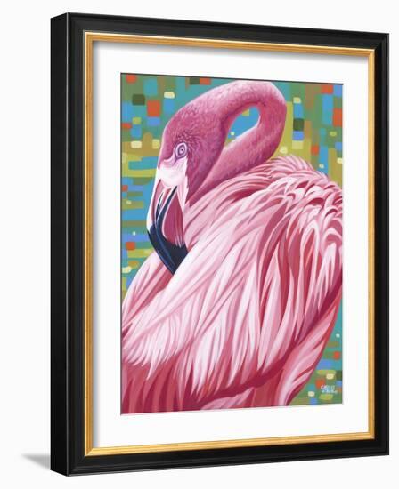 Fabulous Flamingos II-Carolee Vitaletti-Framed Art Print