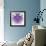 Fabulous Fractal Pattern in Purple-velirina-Framed Art Print displayed on a wall