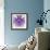 Fabulous Fractal Pattern in Purple-velirina-Framed Art Print displayed on a wall