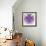 Fabulous Fractal Pattern in Purple-velirina-Framed Art Print displayed on a wall