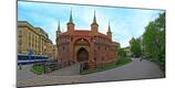 Photographic Print
