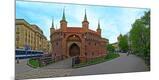Photographic Print