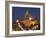 Facade of a Government Building, Iowa State Capitol, Des Moines, Iowa, USA-null-Framed Photographic Print