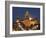 Facade of a Government Building, Iowa State Capitol, Des Moines, Iowa, USA-null-Framed Photographic Print