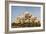 Facade of a Temple, Akshardham, Delhi, India-jackmicro-Framed Photographic Print