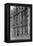 Facade of the Dakota-GE Kidder Smith-Framed Premier Image Canvas