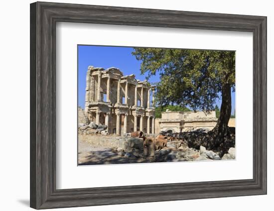 Facade of the Library of Celsus, Fruit Tree and Ancient Pipes, Ancient Ephesus-Eleanor Scriven-Framed Photographic Print