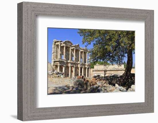 Facade of the Library of Celsus, Fruit Tree and Ancient Pipes, Ancient Ephesus-Eleanor Scriven-Framed Photographic Print