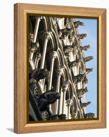 Facade with False Gargoyles, Eglise Notre-Dame, Dijon, Burgundy, France-Adam Woolfitt-Framed Premier Image Canvas