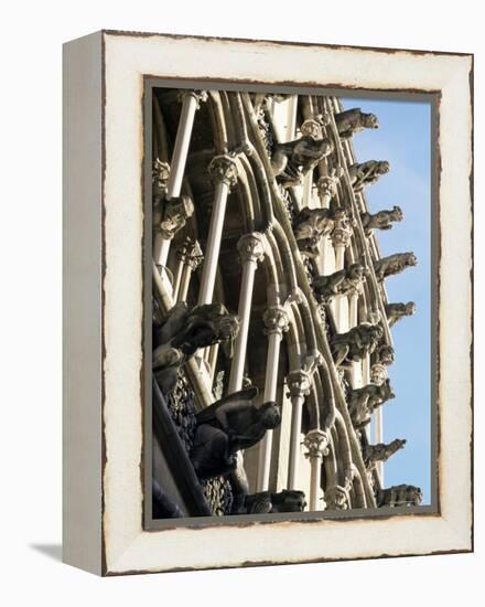 Facade with False Gargoyles, Eglise Notre-Dame, Dijon, Burgundy, France-Adam Woolfitt-Framed Premier Image Canvas