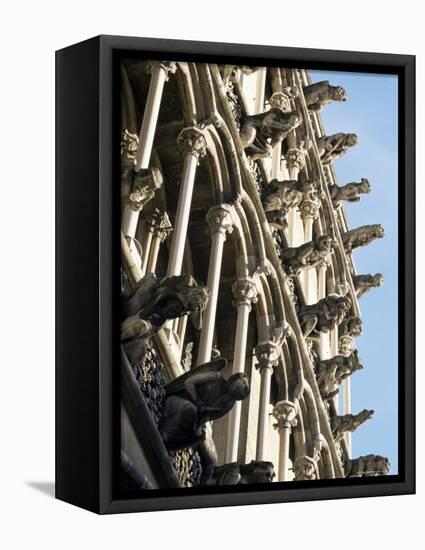 Facade with False Gargoyles, Eglise Notre-Dame, Dijon, Burgundy, France-Adam Woolfitt-Framed Premier Image Canvas