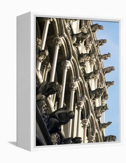 Facade with False Gargoyles, Eglise Notre-Dame, Dijon, Burgundy, France-Adam Woolfitt-Framed Premier Image Canvas