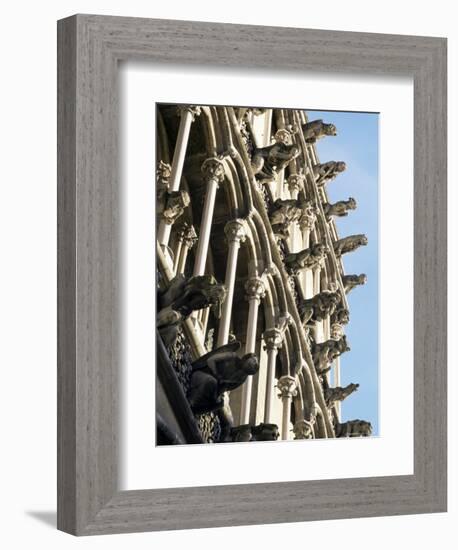 Facade with False Gargoyles, Eglise Notre-Dame, Dijon, Burgundy, France-Adam Woolfitt-Framed Photographic Print