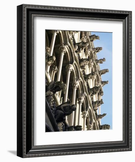 Facade with False Gargoyles, Eglise Notre-Dame, Dijon, Burgundy, France-Adam Woolfitt-Framed Photographic Print